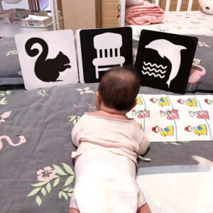 Cartão de Emoção Visual: Estimulação Visual para Bebês Montessori
